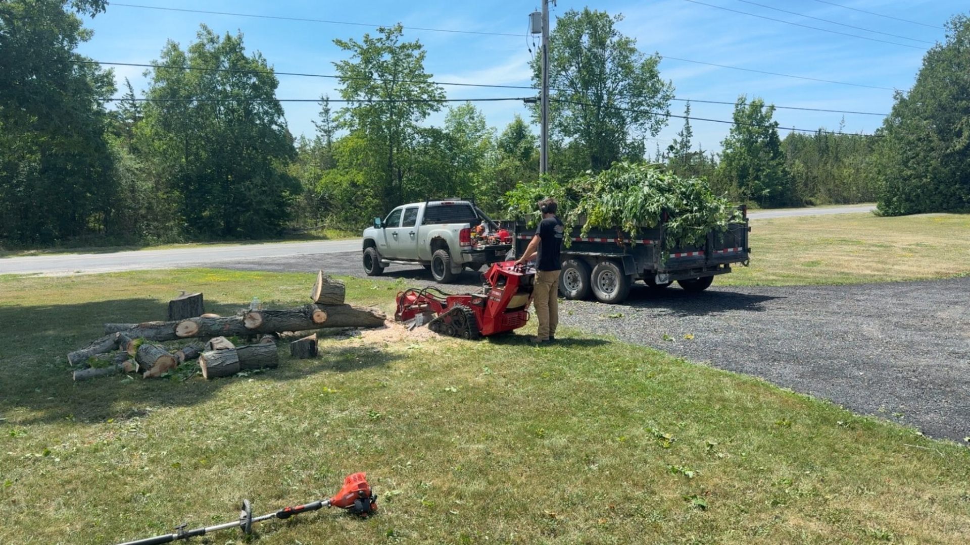 Pickup and dump trailer loaded with brush next to a felled tree